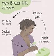Image result for How Is Milk Really Made