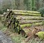 Image result for Timber 100 X 50
