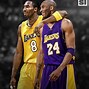 Image result for Number 24 and 8 Kobe