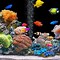 Image result for Live Fish Tank iPhone X Wallpaper