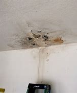 Image result for 3 Meters Square Mold in Ceiling