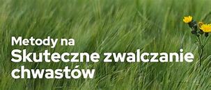 Image result for co_to_znaczy_zwalczanie_chwastów