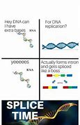 Image result for DNA Meme