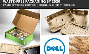 Image result for Dell Mushroom Packaging