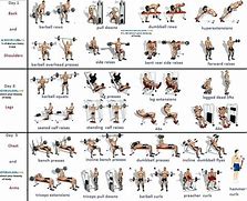 Image result for Muscle Group Exercise Chart