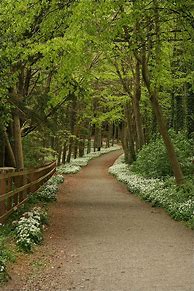 Image result for Nature Walking Path