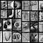 Image result for Photo Alphabet Letters