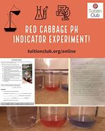 Image result for Ph Lab with Cabage
