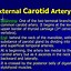 Image result for Internal Carotid