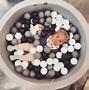 Image result for Ball Pit Modern Colors