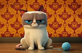 Image result for Grumpy Cat Saying No
