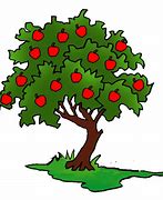 Image result for Gravenstein Apple Tree