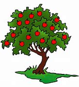 Image result for Small Apple Tree Varieties