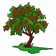 Image result for Dwarf Stayman Winesap Apple Tree