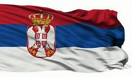 Image result for Srpski Simbol