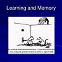 Image result for Definition of Memory Consolidation