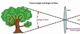 Image result for Lens Focal Length