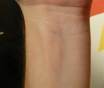 Image result for Fenix 6s Pro On Wrist