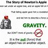 Image result for Newton Law and Apple