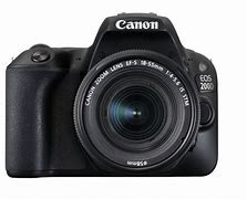 Image result for Best Canon Camera for Beginners