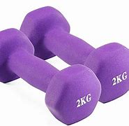 Image result for Weight Plate Rack