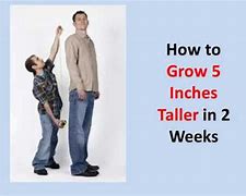 Image result for Five Inches Taller