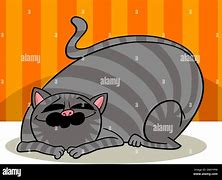 Image result for Fat Tabby Cat Meme