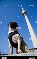 Image result for Pug Germany