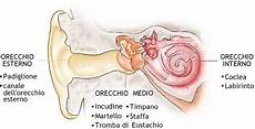 dermatite nell orecchio interno avanguardie storiche 900 ricerca terzo gruppo dermatite nell orecchio interno avanguardie storiche 900 ricerca terzo gruppo