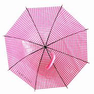 Image result for Clear Dome Umbrella
