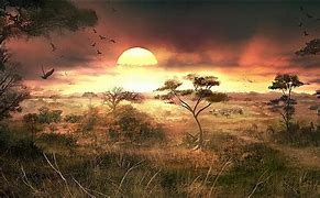 Image result for Cool African Wallpapers