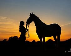 Image result for Horse Photography in Stable