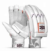 Image result for DSC Cricket Batting Gloves