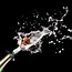 Image result for Champagne Spraying