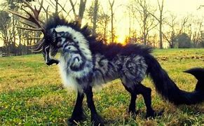 Image result for Real Magical Creatures