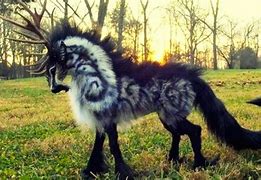 Image result for Mythical Creatures That Actually Exist