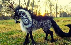 Image result for Real Mythical Creatures