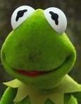 Image result for Kermit Younger Girlfriend None of My Business