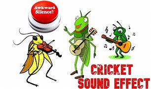 Image result for Cricket Chirp Meme