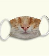 Image result for Cat Covering Mouth Meme