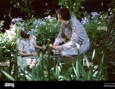 Image result for Purple Flowers in Movie the Hours