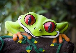 Image result for Funny Dancing Frog