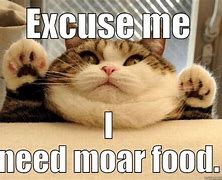 Image result for Cat Food Meme