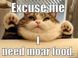Image result for Elegent UI Clients Cat Food Meme