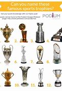 Image result for Professional Sports Trophies