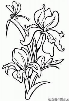 disegno fiori disegni da colorare fiori disegno fiori disegni da colorare fiori