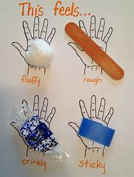 Image result for Sense of Touch Worksheets for Kids