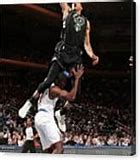 Image result for Giannis Antetokounmpo Team NBA