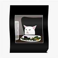 Image result for White Cat Meme