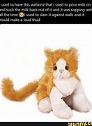 Image result for Stuffed Cat Meme